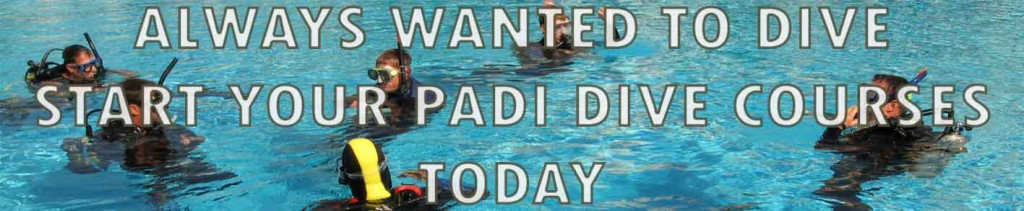 Learn To Scuba Dive In Cyprus. Get Your Padi Certification 