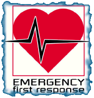 efr Emergency First Response Instructor - EFR Instructor Course