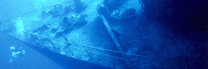 godive PADI Underwater Naturalist Specialty course