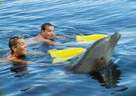 seapic3