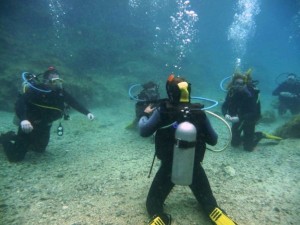 Get your PADI scuba certification