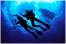 Learn padi deep dive in Cyprus