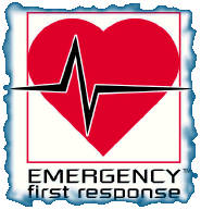 Emergency First Response Instructor - EFR Instructor Course