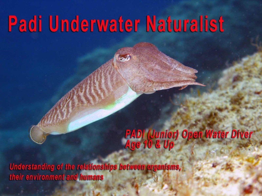 Padi Underwater Naturalist in Cyprus