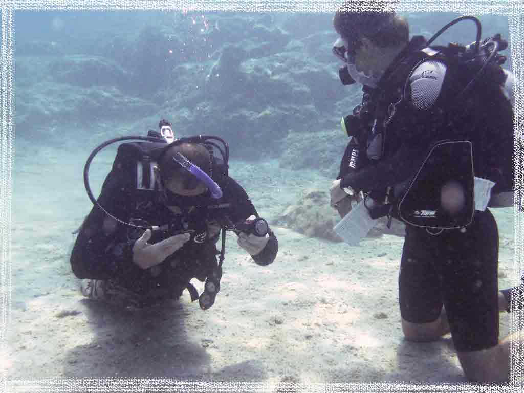 PADI Scuba Review