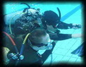 Padi Instructor Training Scuba Internships Cyprus, Gap Years, New Jobs, Change Your Life and Career. 