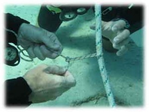 Padi Divemaster Internship and Instructors Learn Knot Tying. Becoming a Padi Dive Master is so exciting you will love your job! Dont Dream About Diving, Make a Move Today!