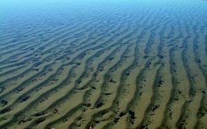 Sand ripples. Note the steep side to shore for navigation underwater during your dive. Great way for Safe Diving Practices.