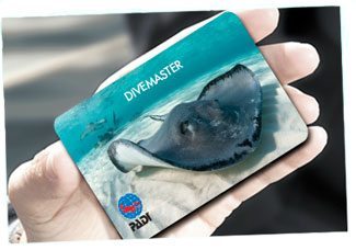Padi C Cards or Padi Certification Cards get you recognised
