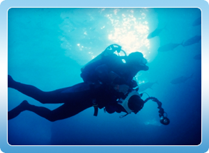 Padi Certification Cards Can Be replaced online through a Padi Dive Centre like Easy Divers Cyprus