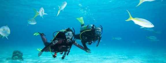 Scuba Diving in Cyprus with Easy Divers