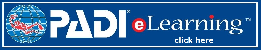 PADI eLearning Scuba Diving Courses in Cyprus. Unlike other PADI eLearningÂ® courses, Completing the online course material is all that is required.